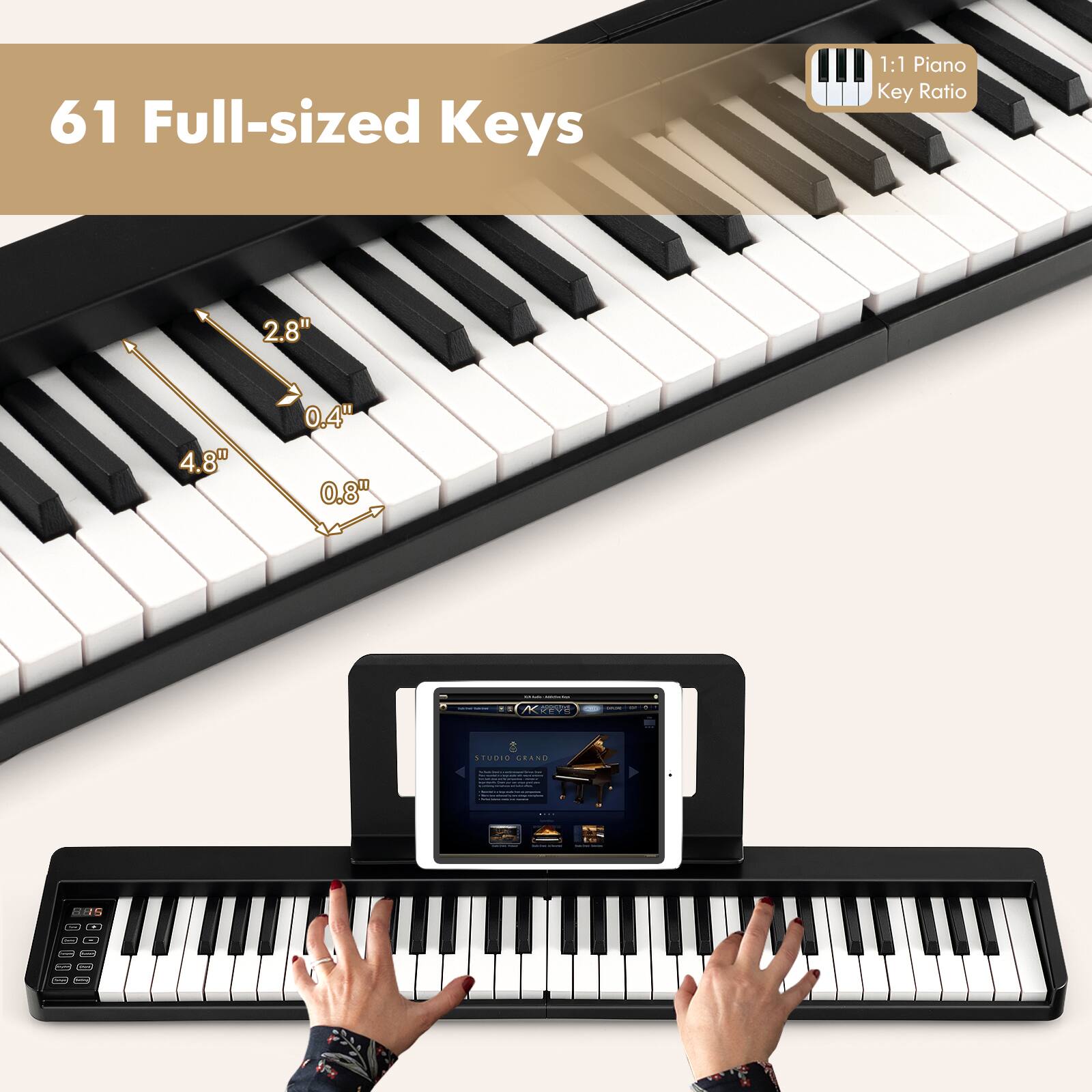61 Full-sized Keys  
1:1 Piano Key Ratio  
2.8"  
4.8"  
0.4"  
0.8"