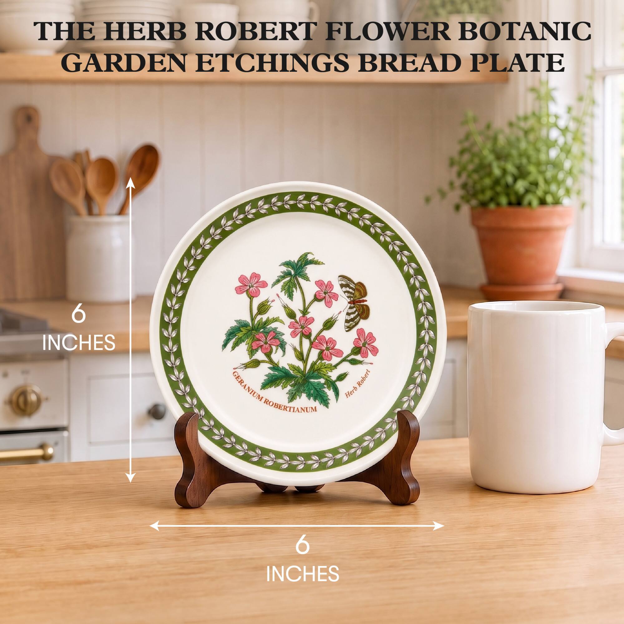 THE HERB ROBERT FLOWER BOTANIC GARDEN ETCHINGS BREAD PLATE

6 INCHES

GERANIUM ROBERTIANUM

Herb Robert

6 INCHES