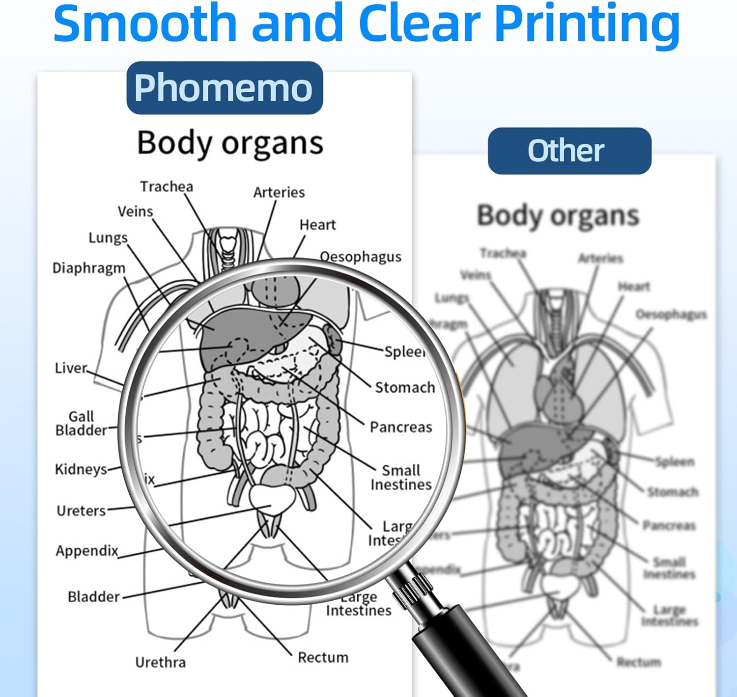 Smooth and Clear Printing

Phomemo

Body organs
- Trachea
- Arteries
- Veins
- Heart
- Lungs
- Diaphragm
- Oesophagus
- Liver
- Gall Bladder
- Spleen
- Stomach
- Pancreas
- Kidneys
- Ureters
- Appendix
- Small Intestines
- Large Intestines
- Bladder
- Urethra
- Rectum

Other

Body organs
- Trachea
- Arteries
- Veins
- Heart
- Lungs
- Diaphragm
- Oesophagus
- Liver
- Gall Bladder
- Spleen
- Stomach
- Pancreas
- Small Intestines
- Large Intestines
- Bladder
- Urethra
- Rectum