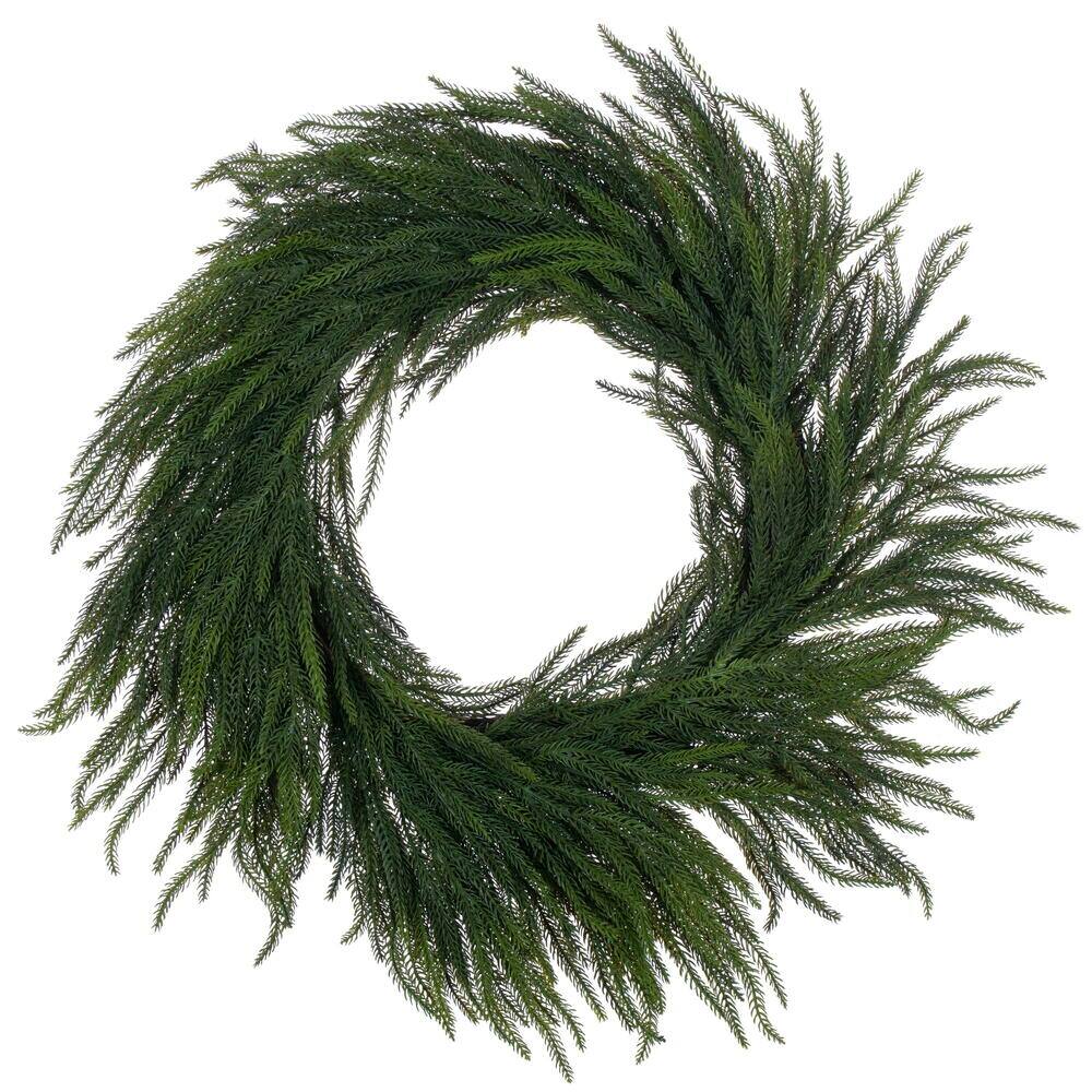 Vickerman - 28" Norfolk Pine Wreath - Green