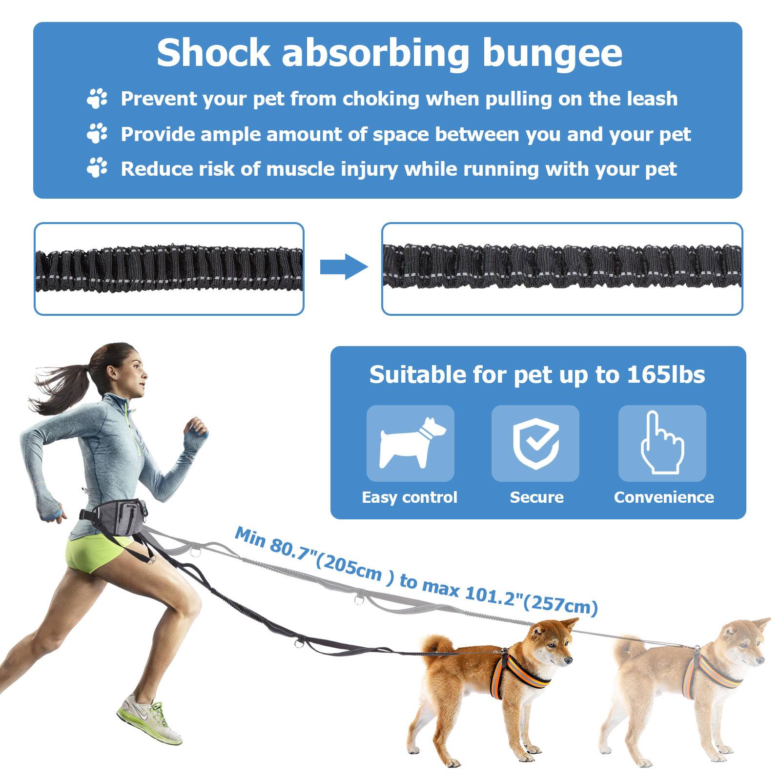 Shock absorbing bungee  
Prevent your pet from choking when pulling on the leash  
Provide ample amount of space between you and your pet  
Reduce risk of muscle injury while running with your pet  

Suitable for pet up to 165lbs  
Easy control  
Secure  
Convenience  

Min 80.7" (205cm) to max 101.2" (257cm)