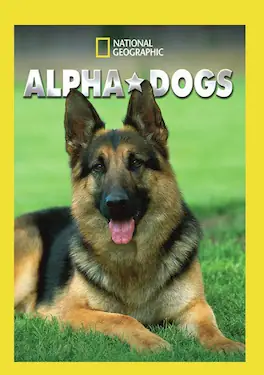 Alpha Dogs - DVD