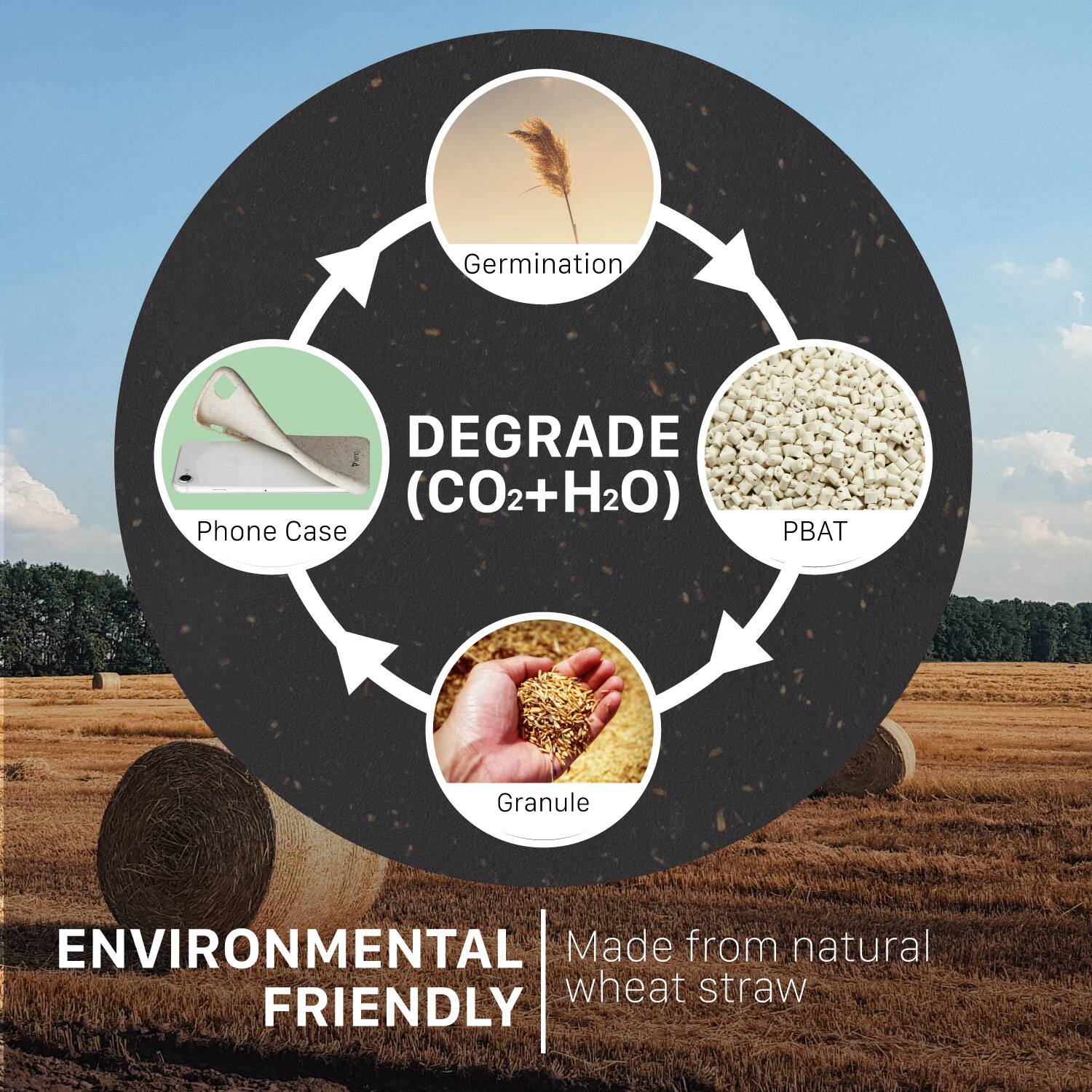 Made from natural wheat straw, ENVIRONMENTAL FRIENDLY, Germination, Granule, DEGRADE (CO2+H2O), Phone Case, PBAT