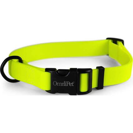 Front. Omni Pet - Carnival Biothane Dog Collar - Yellow.