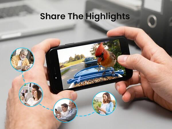 Share The Highlights