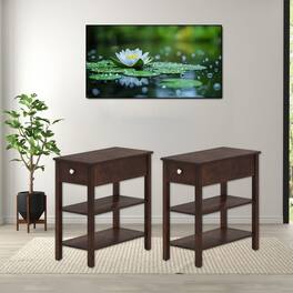 Hivvago - Set of 2 Compact Three-Tier Side Tables with Drawer and Storage Compartments - Walnut