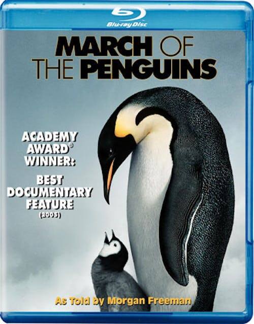 March of the Penguins [Blu-ray] [Standard]