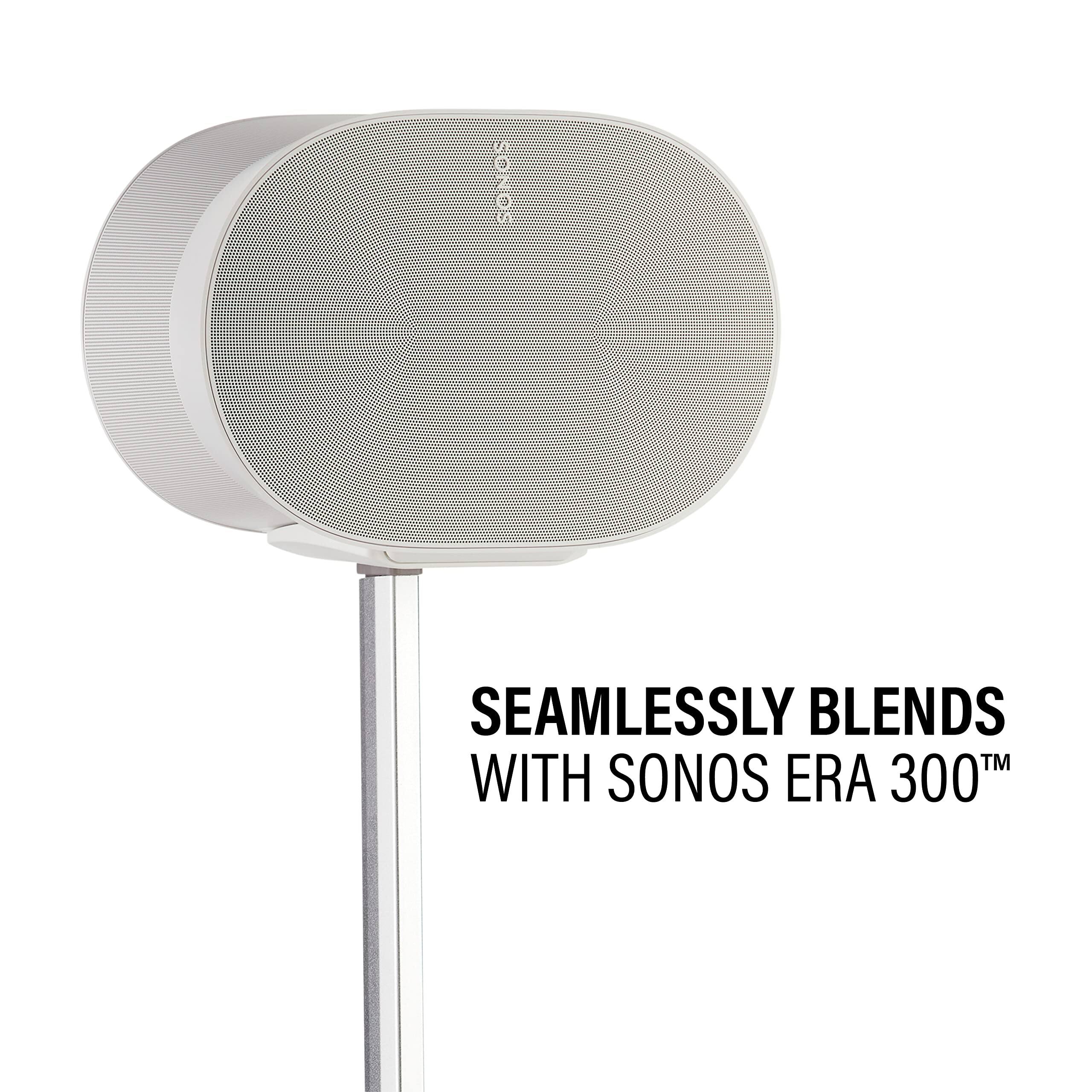 SEAMLESSLY BLENDS WITH SONOS ERA 300™
