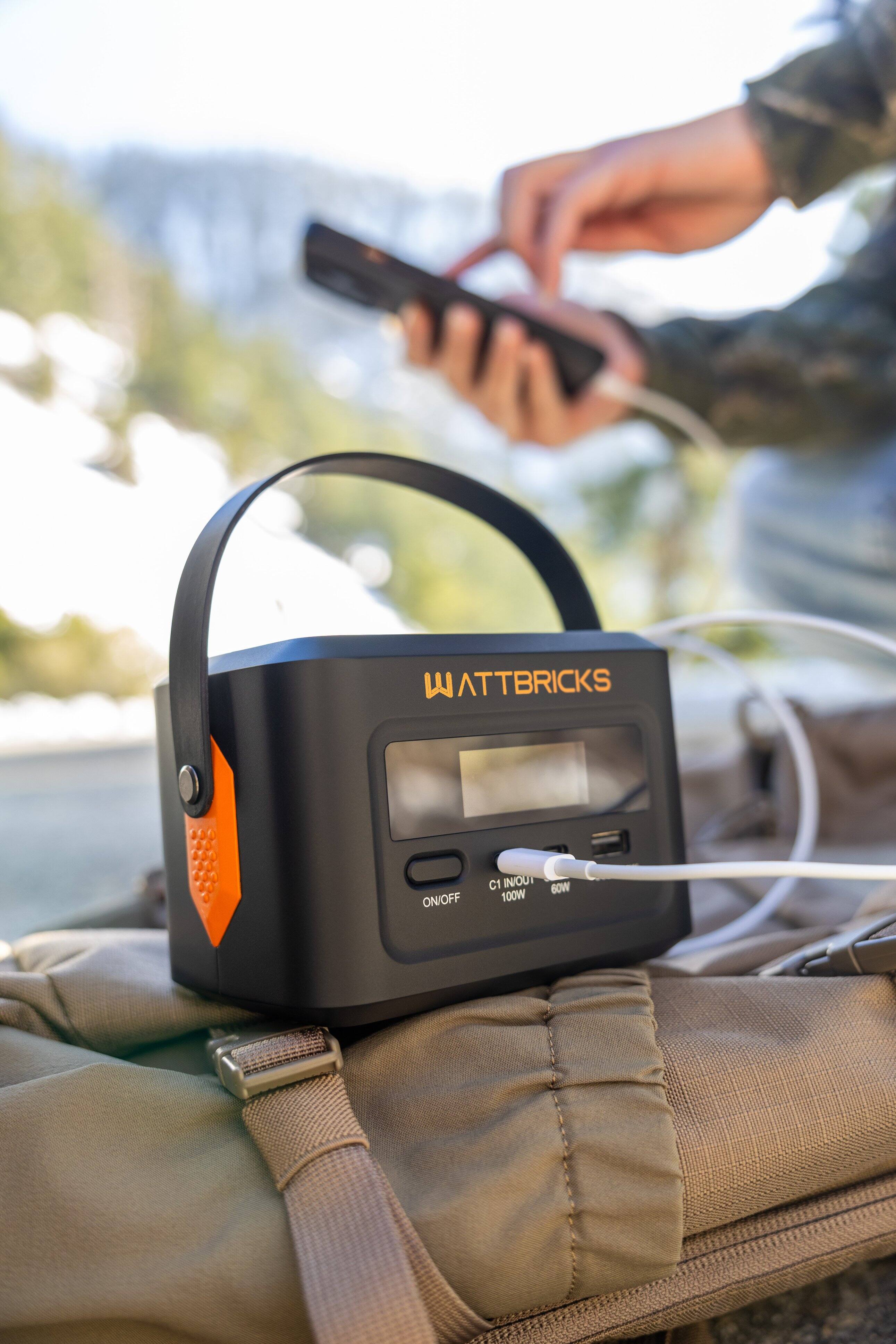 WATTBRICKS

ON/OFF

C1 IN/OUT

100W

60W