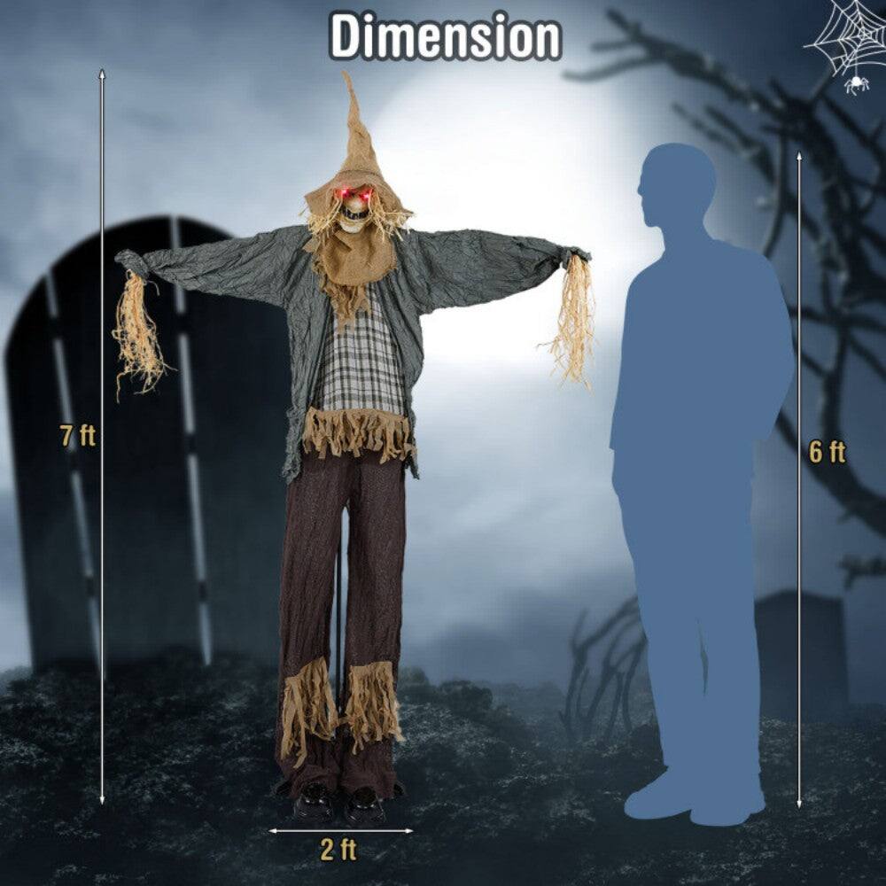 Dimension  
7 ft  
2 ft  
6 ft