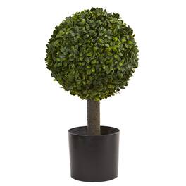 BreeBe - 21" Boxwood Ball Topiary - Green