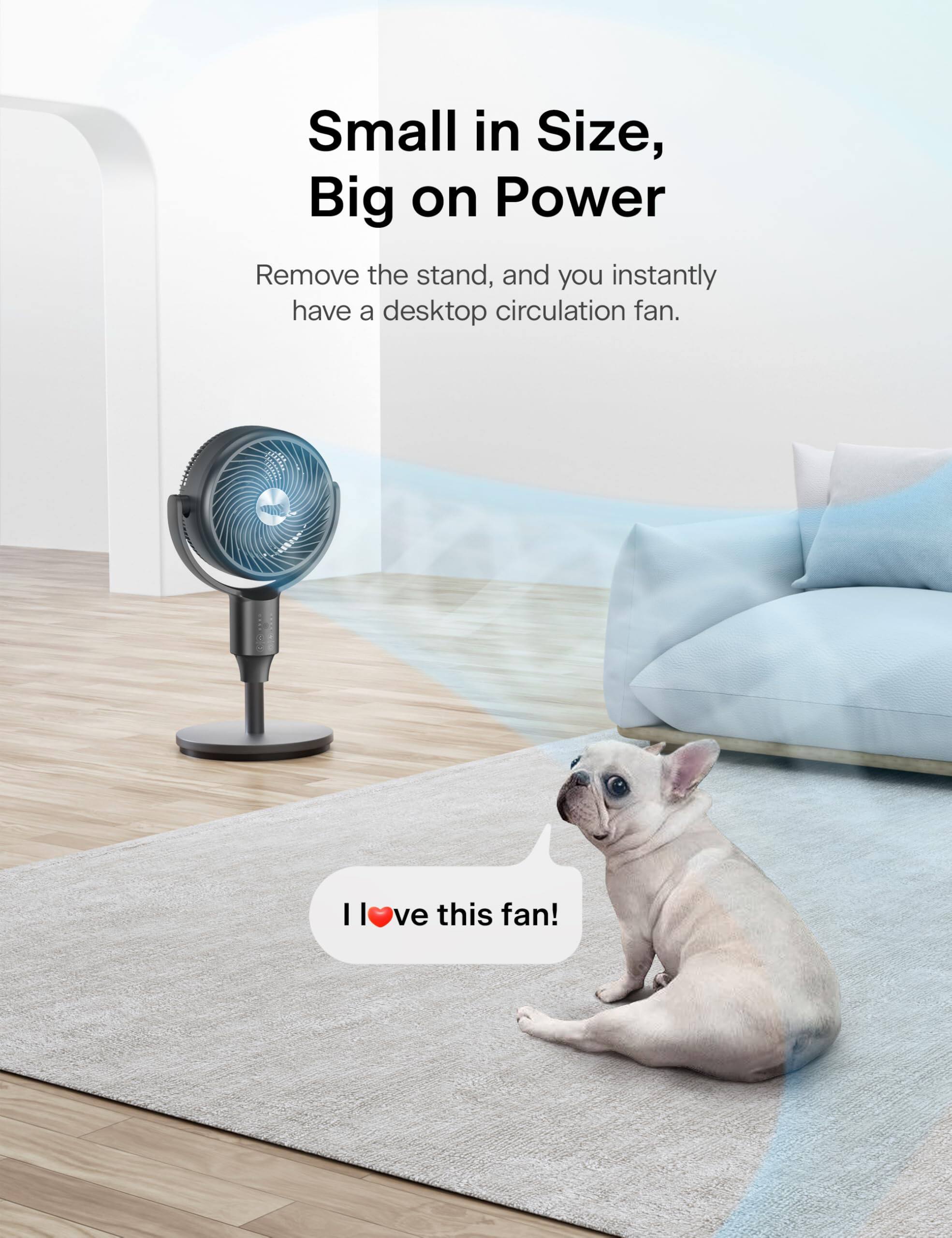 Small in Size, Big on Power  
Remove the stand, and you instantly have a desktop circulation fan.  
I love this fan!