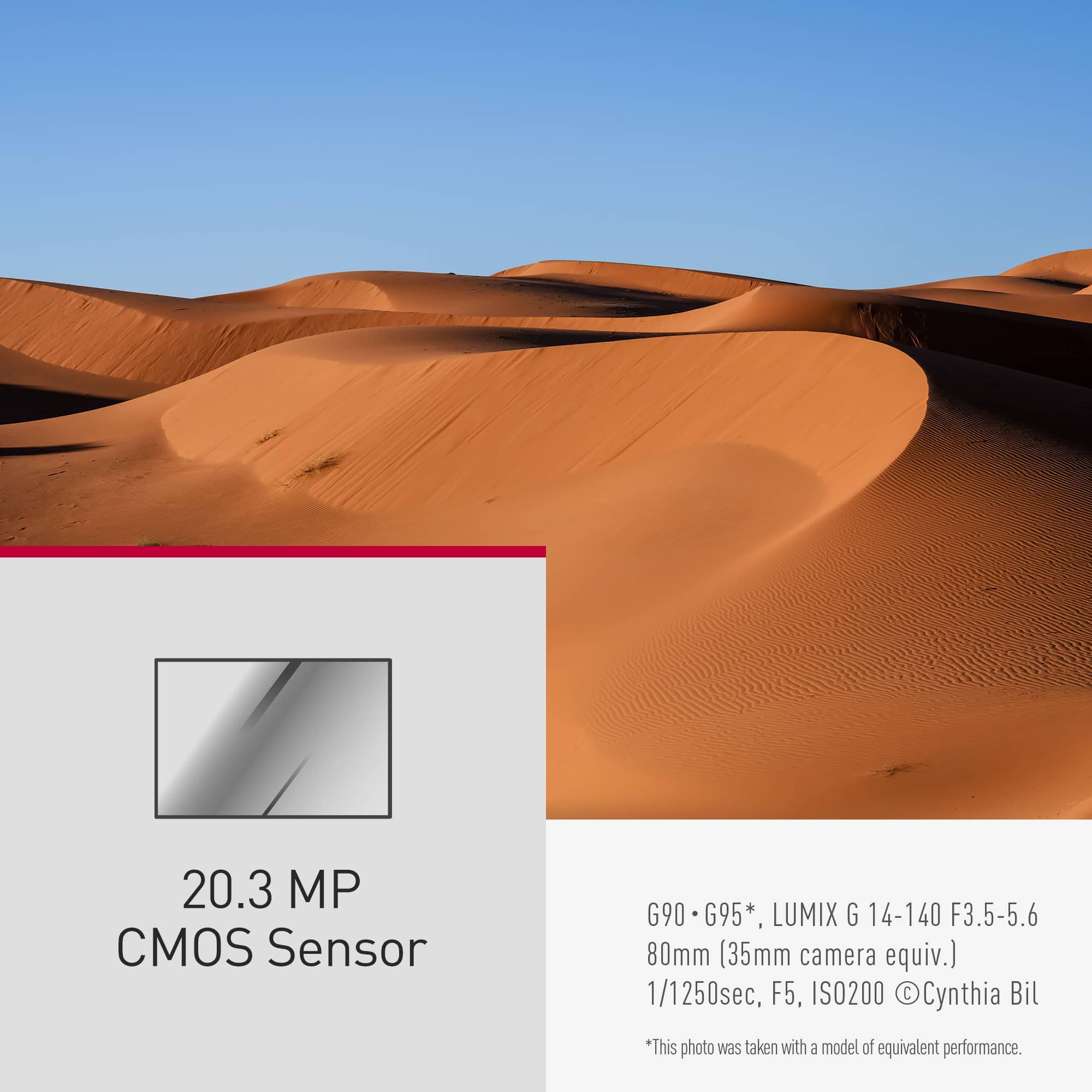 This image features a desert landscape with sand dunes, taken with a camera that has a 20.3 MP CMOS sensor. The camera model is G90 or G95, and it has a focal length equivalent to 80mm (35mm camera equiv.). The image was captured at a shutter speed of 1/1250 sec, with an aperture of F5, and an ISO setting of 200. The photographer's name is Cynthia Bil.