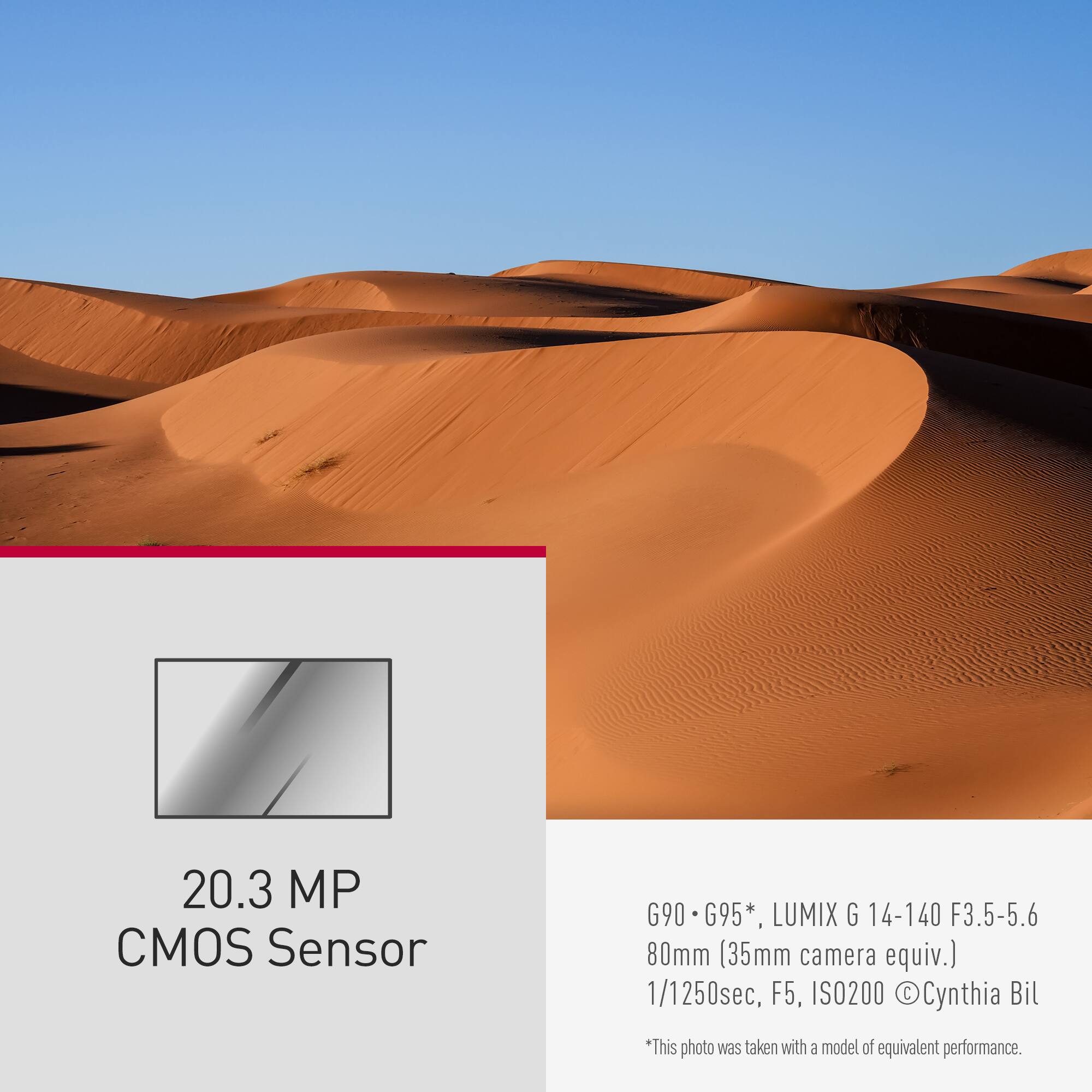 This image features a desert landscape with sand dunes, taken with a camera that has a 20.3 MP CMOS sensor. The camera model is G90 or G95, and it has a focal length equivalent to 80mm (35mm camera equiv.). The image was captured at a shutter speed of 1/1250 sec, with an aperture of F5, and an ISO setting of 200. The photographer's name is Cynthia Bil.