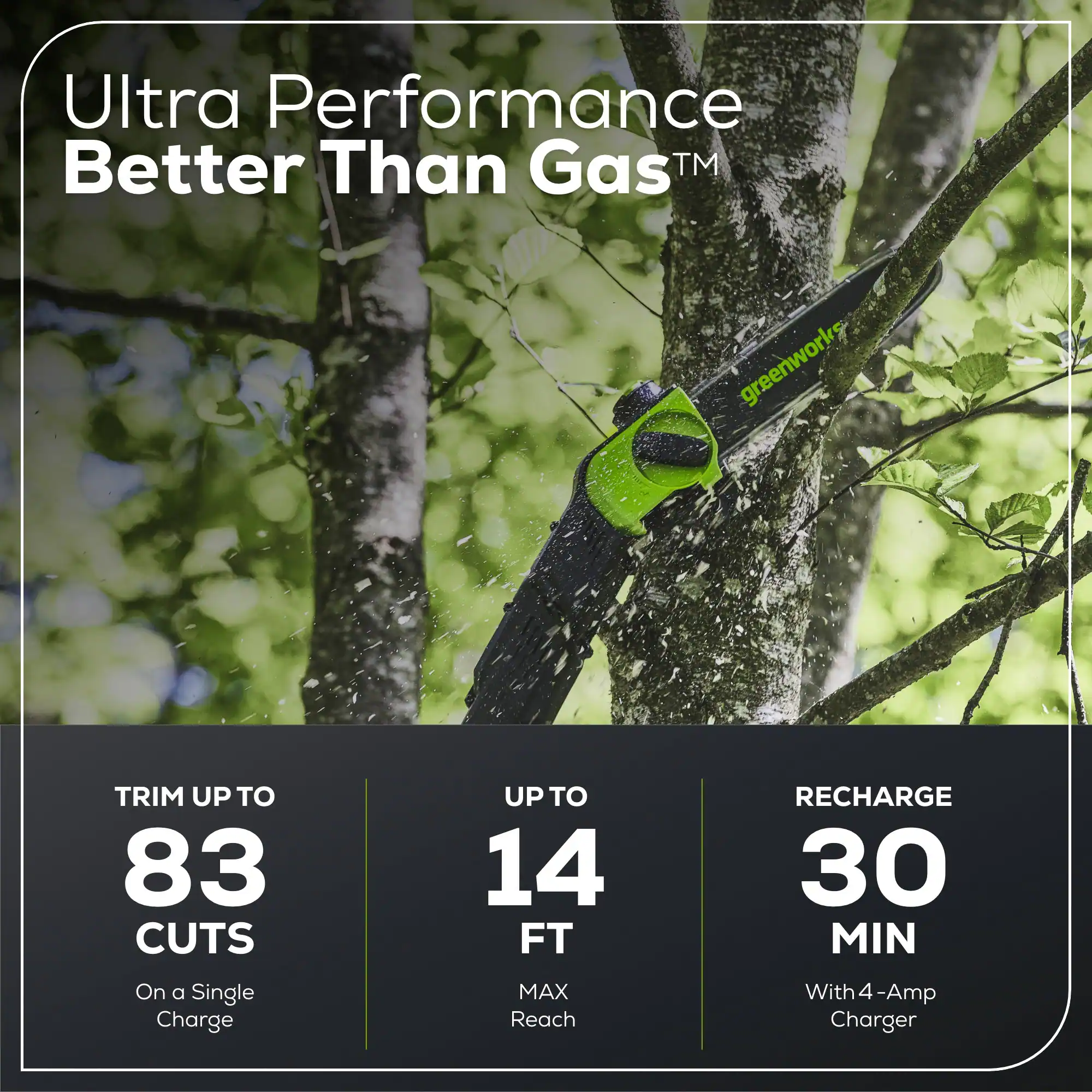 Ultra Performance Better Than Gas™

greenworks

TRIM UP TO 83 CUTS  
On a Single Charge

UPTO 14 FT  
MAX Reach

RECHARGE 30 MIN  
With 4-Amp Charger