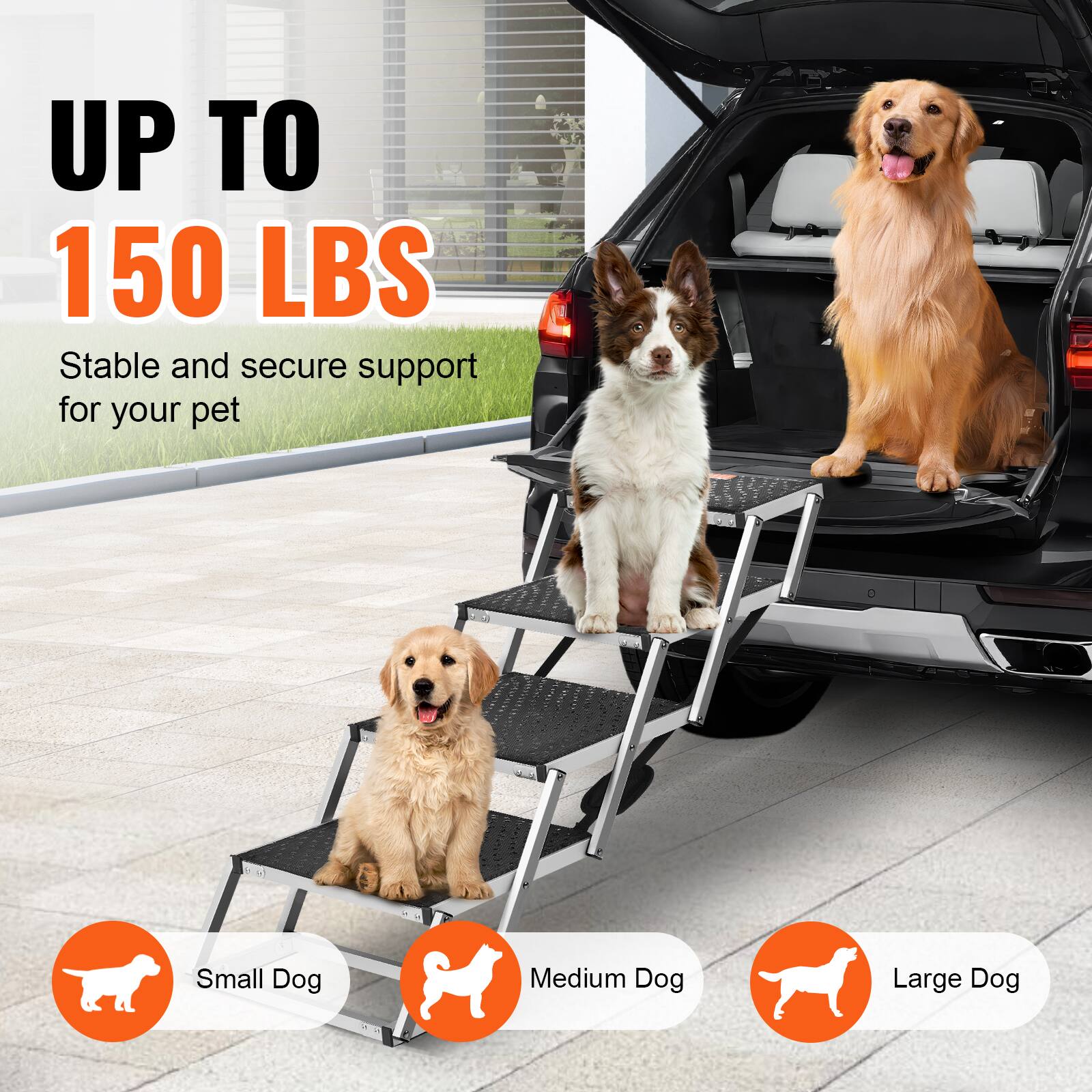 UP TO 150 LBS
Stable and secure support for your pet
Small Dog
Medium Dog
Large Dog