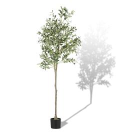 Oumilen - Artificial Olive Tree 6FT, Fack Olive Plants Potted Tall Natural Wood Trunk Realistic Leaves and Lifelike Fruits