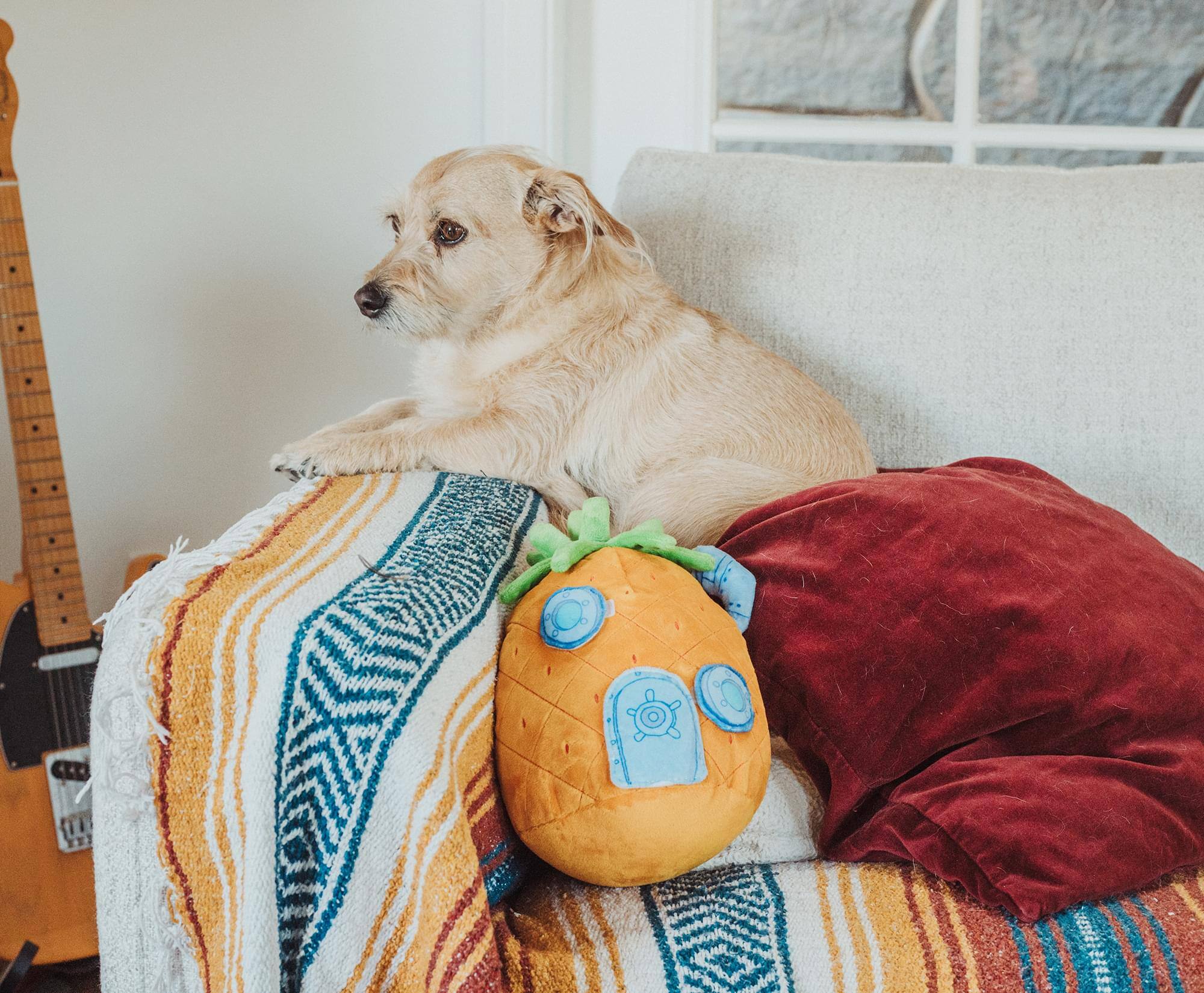 Alt View 3. Nickelodeon - Nickelodeon SpongeBob SquarePants Pineapple House Squeaky Pet Toy Plush - Multi-Colored.