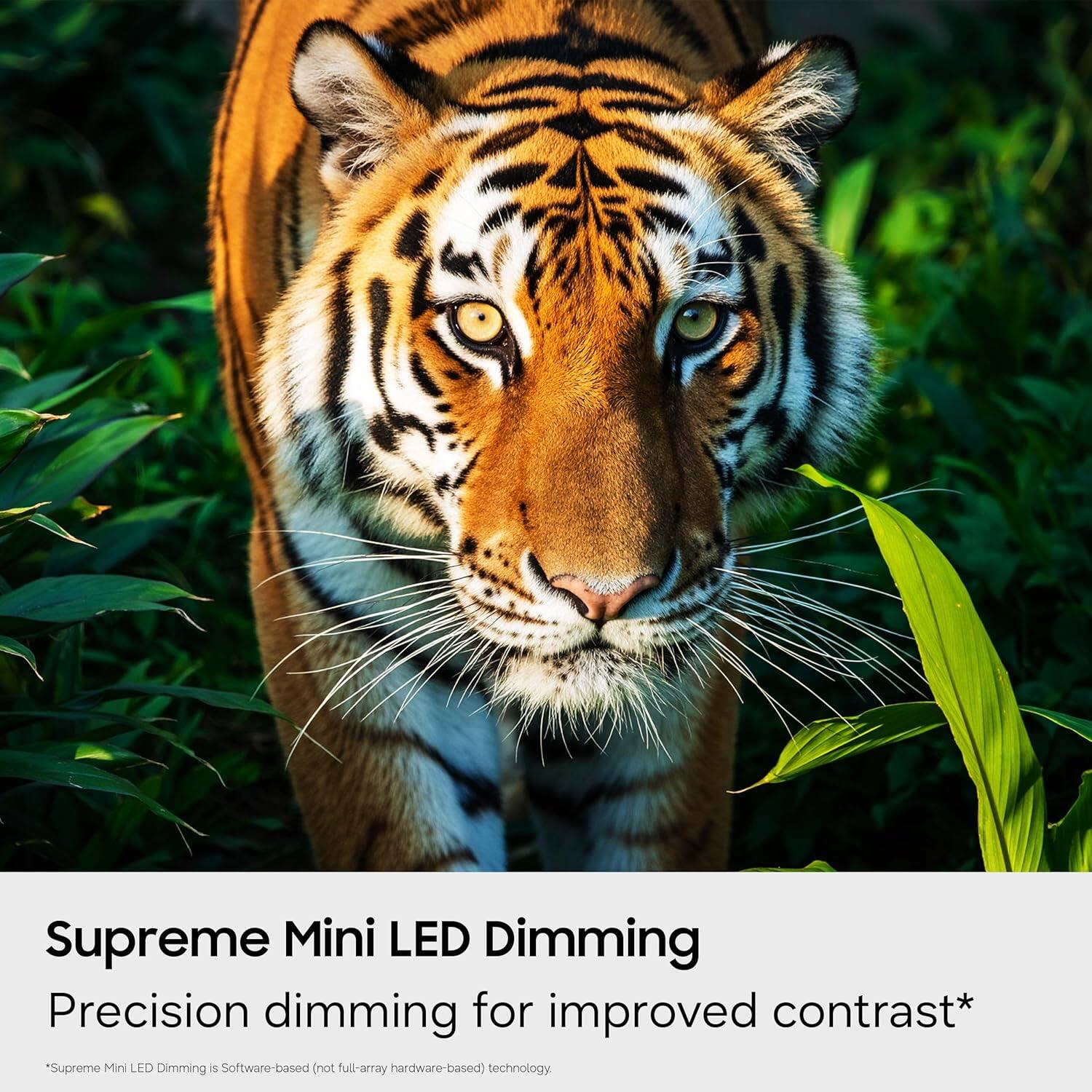Supreme Mini LED Dimming  
Precision dimming for improved contrast*  
*Supreme Mini LED Dimming is Software-based (not full-array hardware-based) technology.