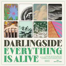Darlingside - Everything Is Alive - VINYL LP