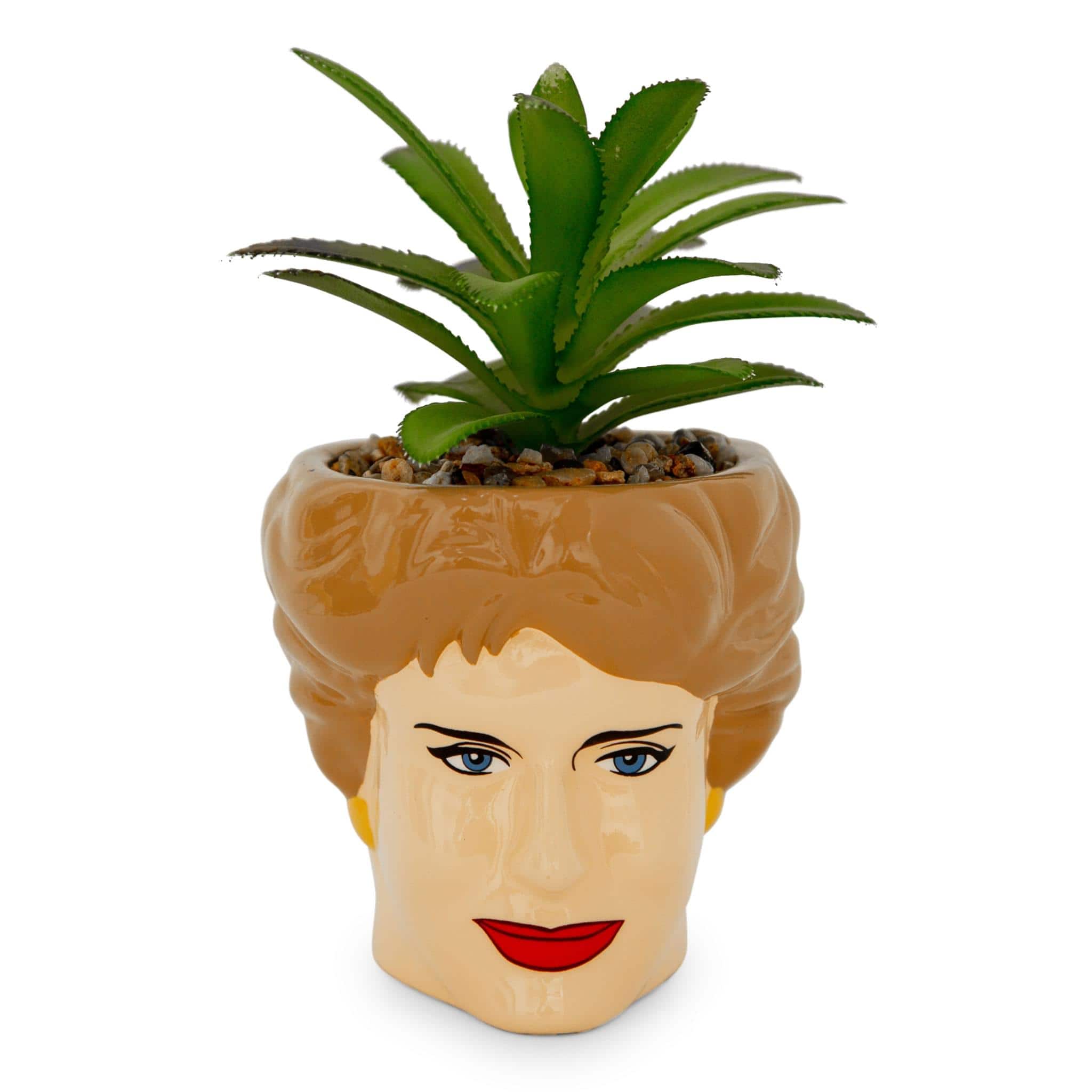Silver Buffalo - The Golden Girls Blanche 3-Inch Ceramic Mini Planter With Artificial Succulent - Brown price history on PriceWatchPro