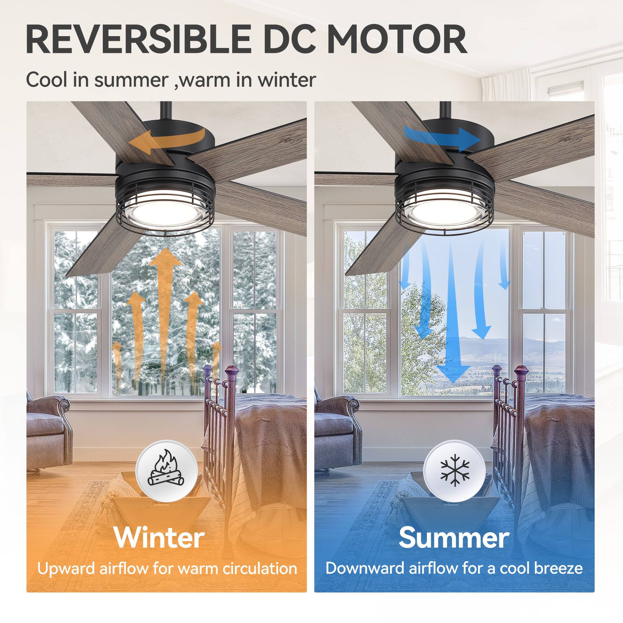 REVERSIBLE DC MOTOR  
Cool in summer, warm in winter  

Winter  
Upward airflow for warm circulation  

Summer  
Downward airflow for a cool breeze