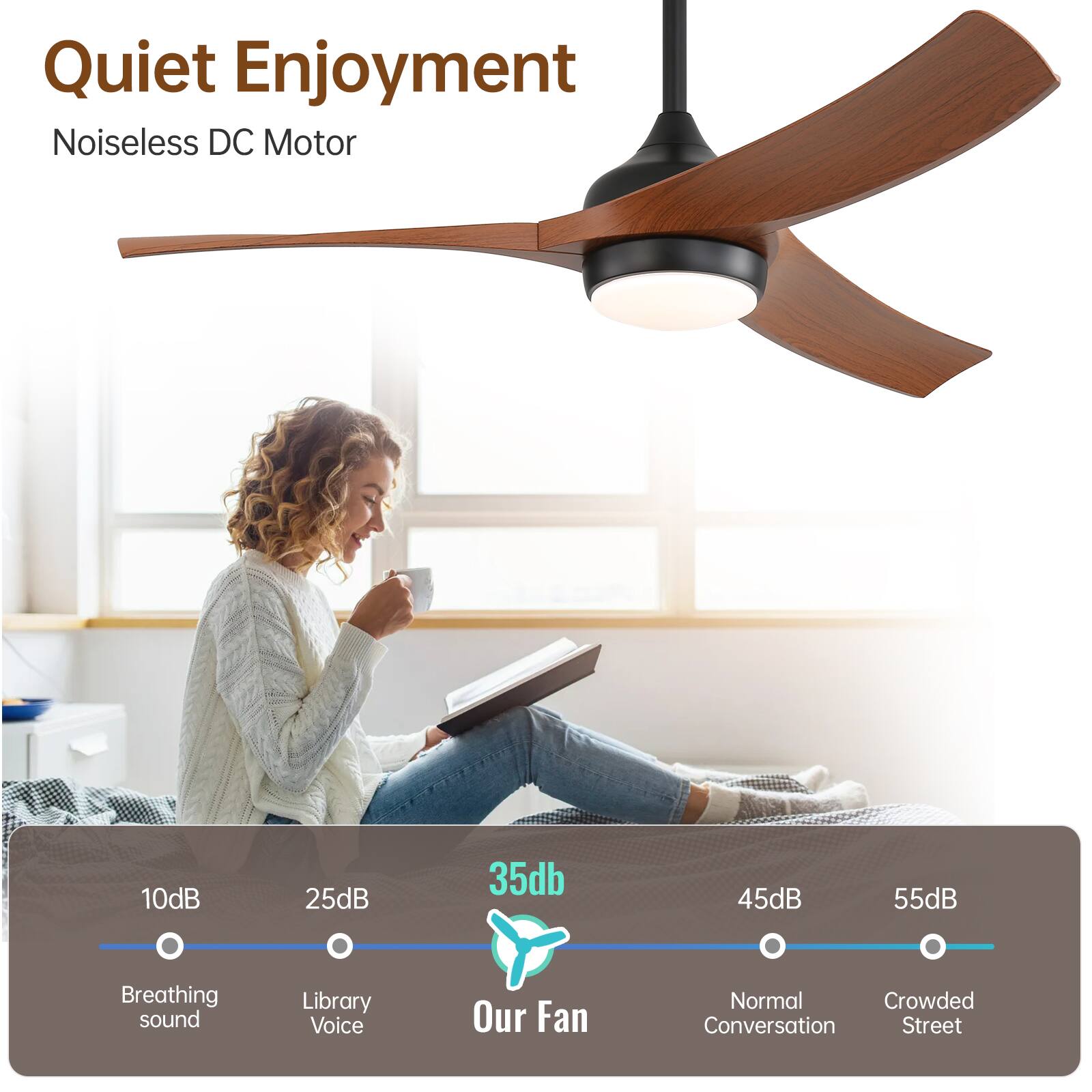 Quiet Enjoyment  
Noiseless DC Motor  

10dB - Breathing sound  
25dB - Library Voice  
35dB - Our Fan  
45dB - Normal Conversation  
55dB - Crowded Street