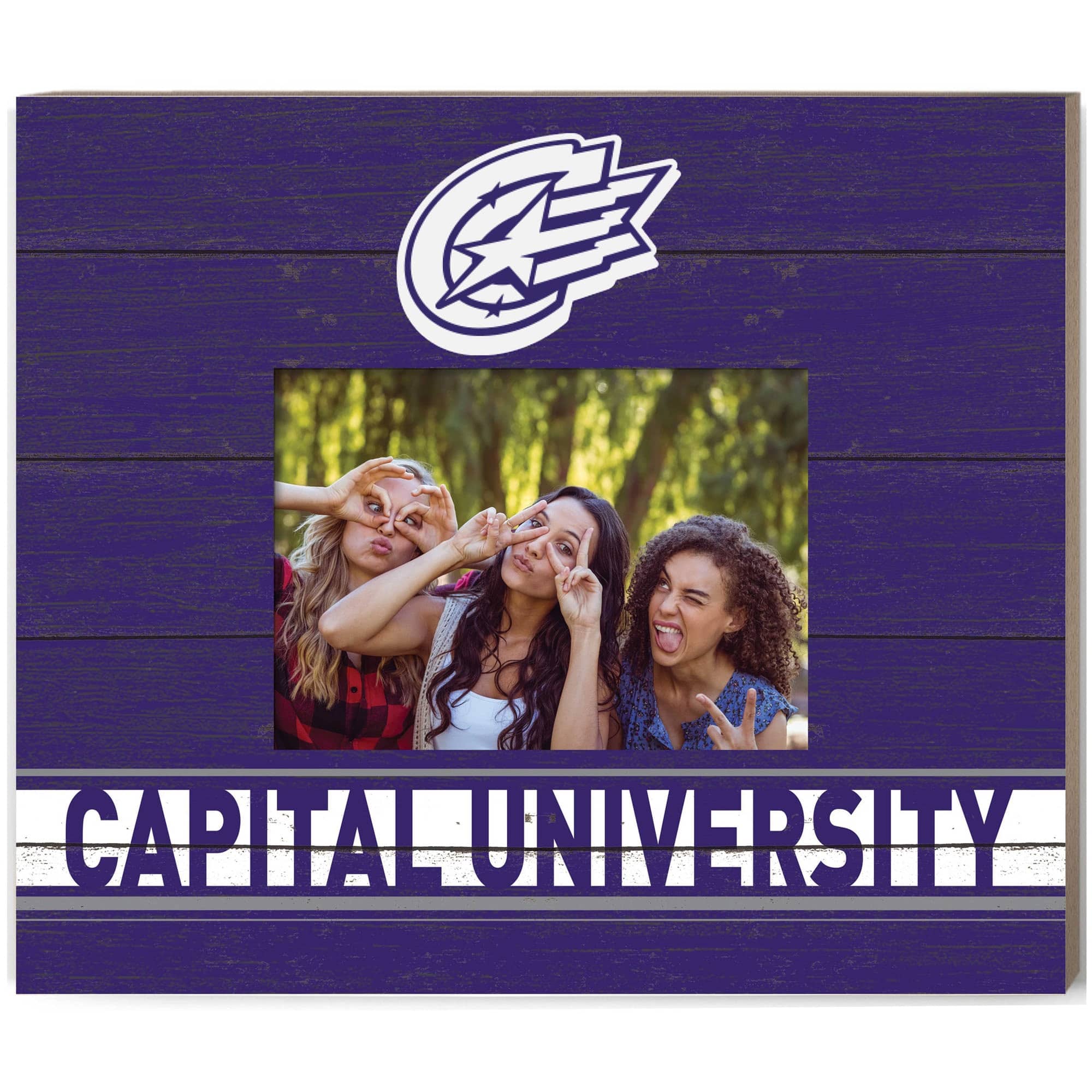 Jardine - Capital University Comets 11'' x 13'' Team Spirit Scholastic Picture Frame - Purple price history on PriceWatchPro