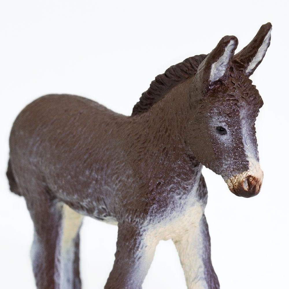 Back. Safari Ltd. - Donkey Foal Toy Figurine.