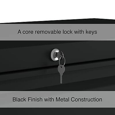 A core removable lock with keys  
Black Finish with Metal Construction