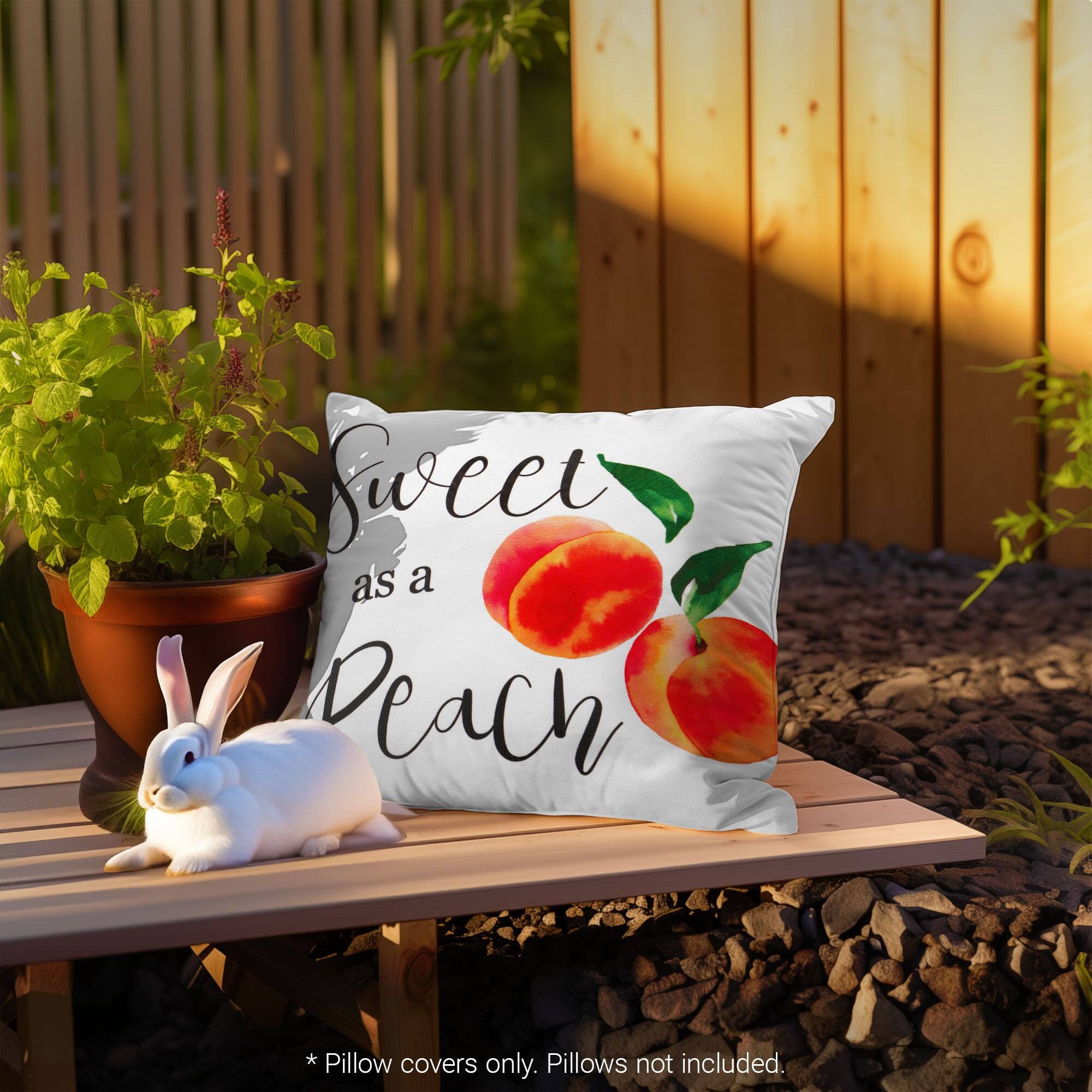 Sweet as a Peach

* Pillow covers only. Pillows not included.