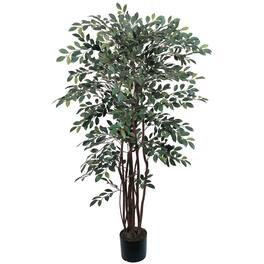 BreeBe - 4' Ruscus Tree w/1461 Lvs - Green