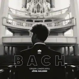 Jorg Halubek - Organ Landscapes - VINYL LP