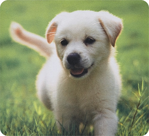 Puppy Mouse Pad-Front_Standard 