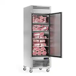 Coolski - 27" W Commercial Freezer, 19.32 Cu.ft Single Solid Door Stainless Steel Reach-in Freezer - Silver