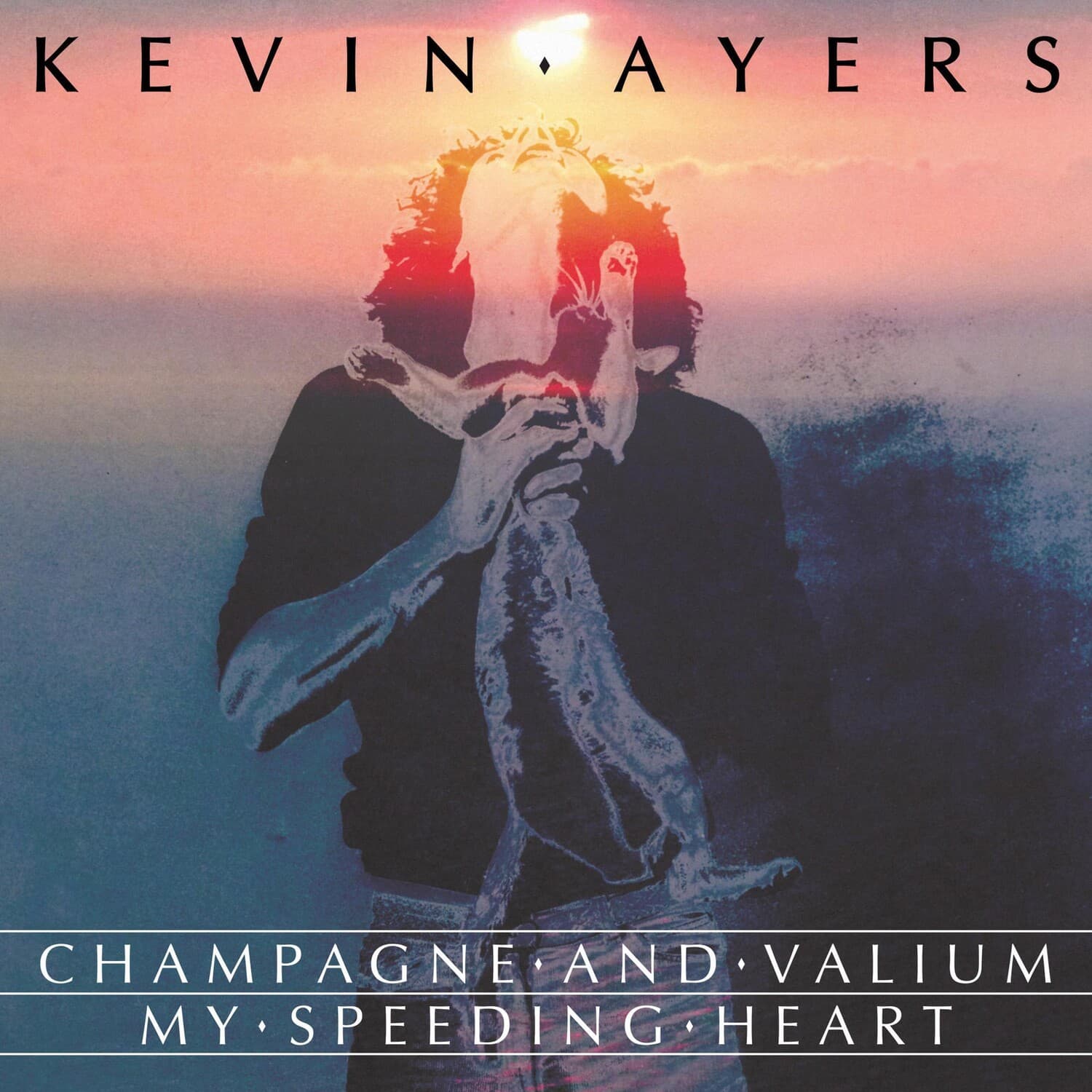 Kevin Ayers - Champagne And Valium   - 7-INCH SINGLE [7 inch Vinyl Disc] price history on PriceWatchPro