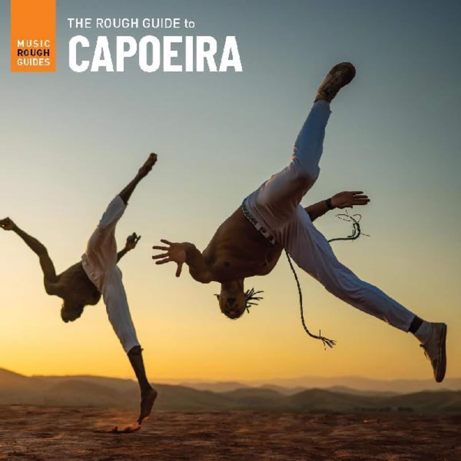 Various Artists - The Rough Guide To Capoeira (Various Artists)   - VINYL LP price history on PriceWatchPro