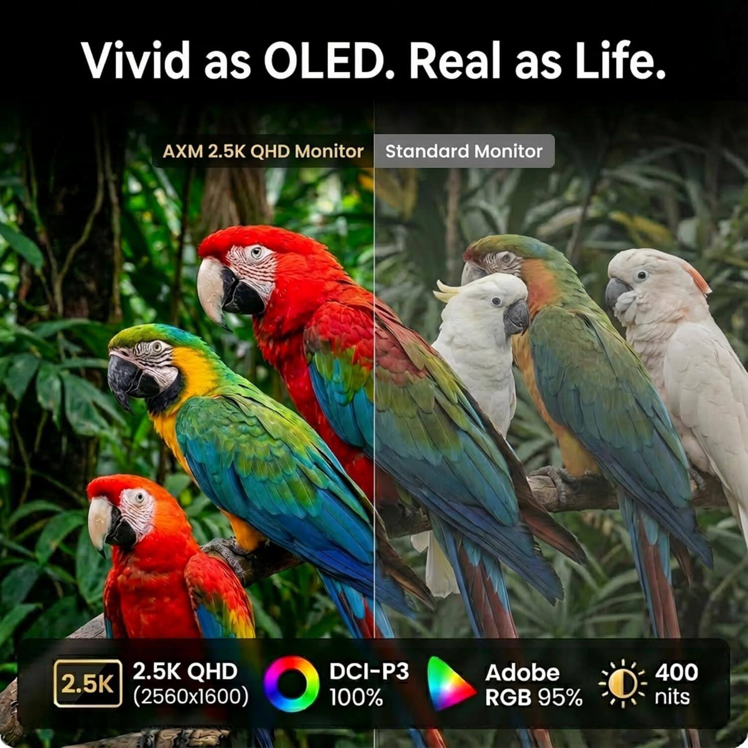 Vivid as OLED. Real as Life.

AXM 2.5K QHD Monitor

Standard Monitor

2.5K QHD (2560x1600)

DCI-P3 100%

Adobe RGB 95%

400 nits