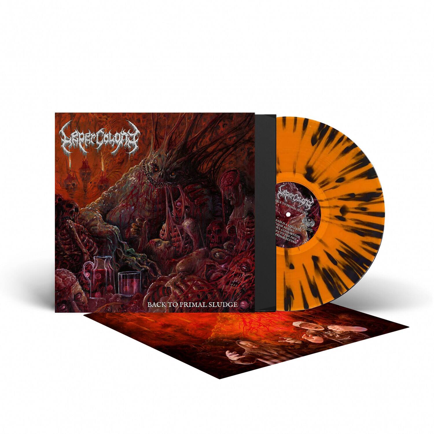 KA TO PRIMAL survey 2000 NESS BEADES 12 PRIMALISLUDGE PRIMALS CONSORTIUM THE SULTAGE WA

BACK TO PRIMAL SLUDGE