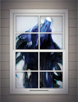 Front. Rubies - Harry Potter Death Eater Window Cover - Black.