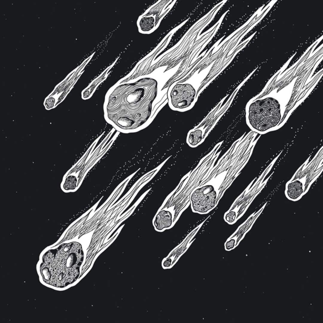 Lion, The Lion [LP] [VINYL]