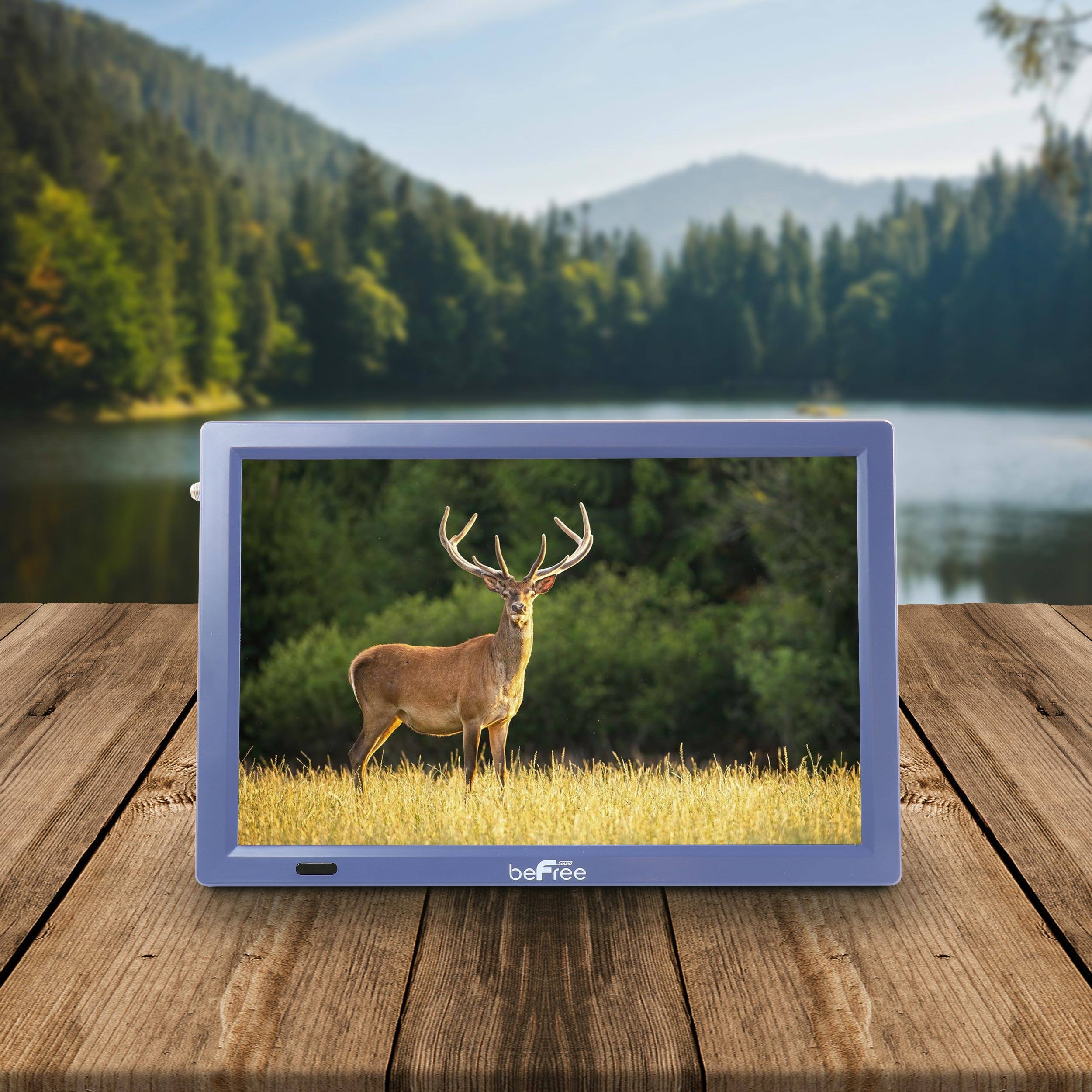 Alt View 8. beFree Sound - beFree Sound Portable Rechargeable 14" LED TV with HDMI, SD/MMC, USB, VGA, AV In/Out and Built-in Digital Tuner in Blue - Blue.