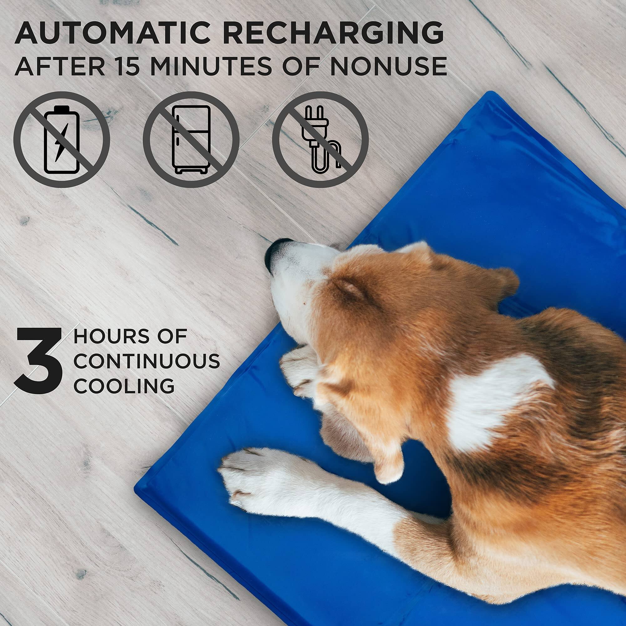 AUTOMATIC RECHARGING AFTER 15 MINUTES OF NONUSE
3 HOURS OF CONTINUOUS COOLING