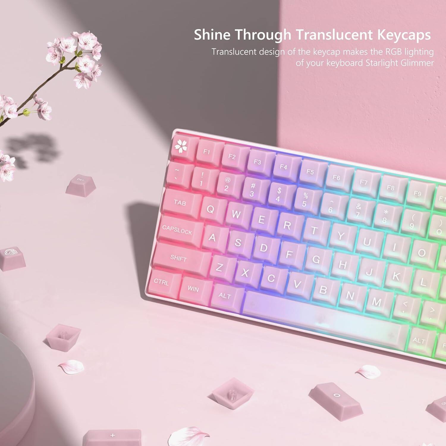 Shine Through Translucent Keycaps

Translucent design of the keycap makes the RGB lighting of your keyboard Starlight Glimmer

F1 F2 F3 F4 F5 F6 F7 F8 F9

1 2 3 4 5 6 7 8 9 0

TAB Q W E R T Y U I O P

A S D F G H J K L

CAPSLOCK Z X C V B N M

SHIFT CTRL WIN ALT