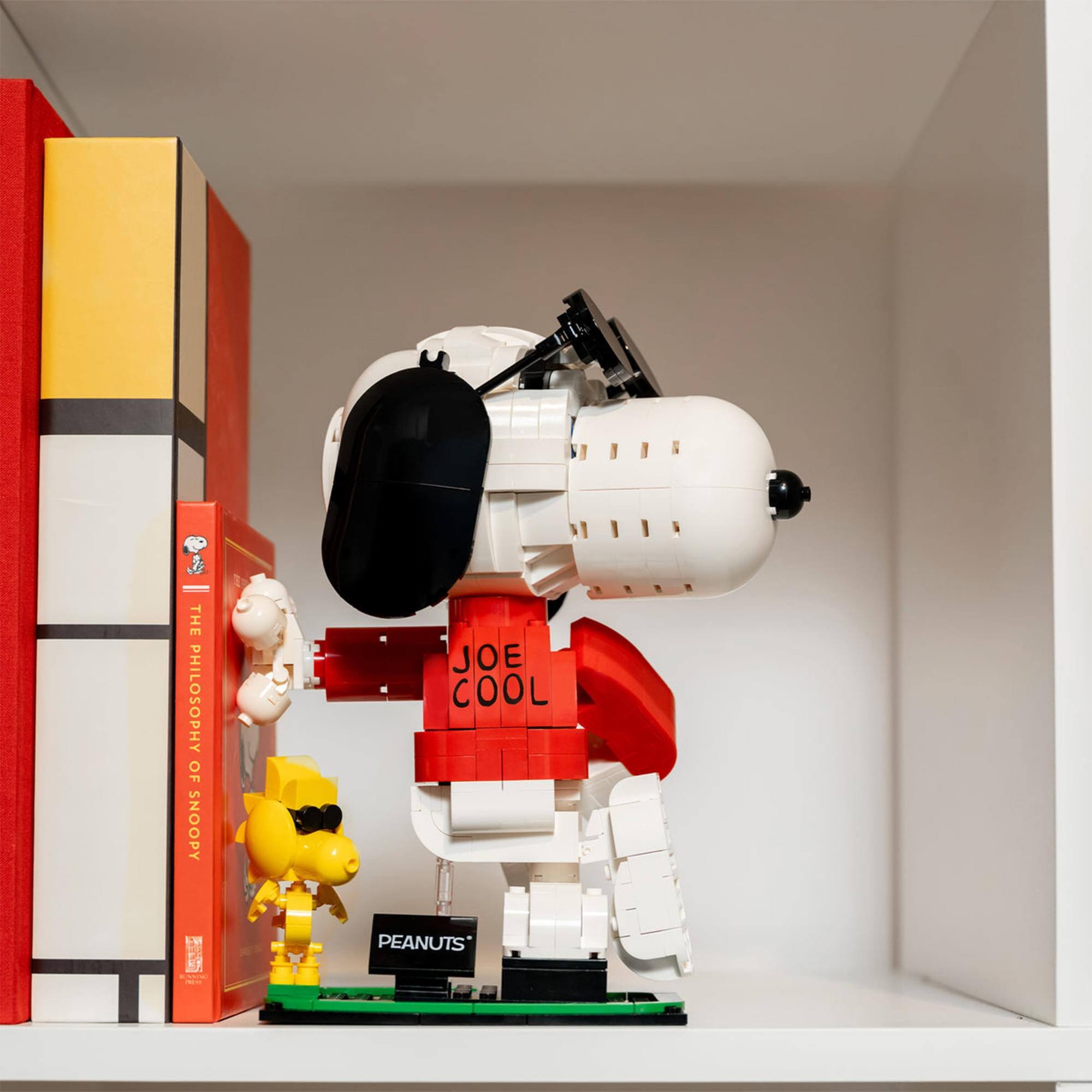 THE PHILOSOPHY OF SNOOPY JOE COOL PEANUTS