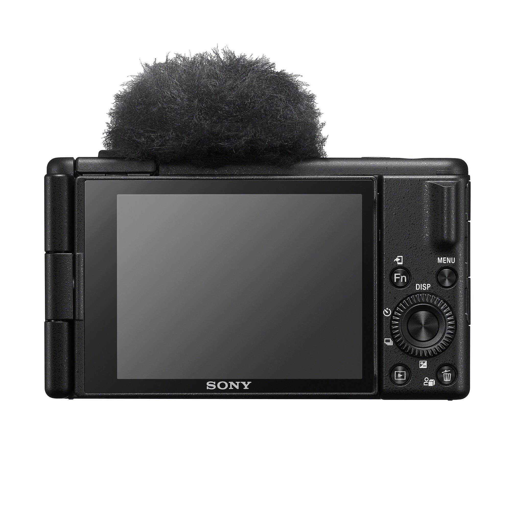 SONY, MENU, Fn, DISP, 2, 1/