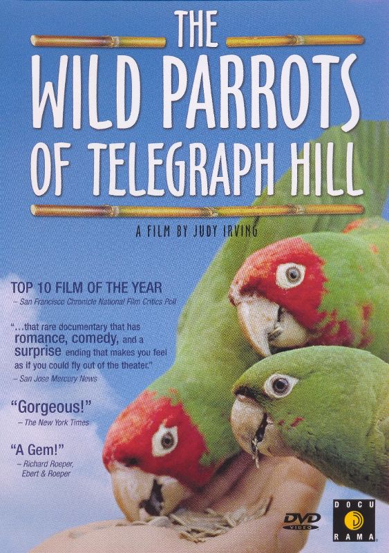 The Wild Parrots of Telegraph Hill [DVD] [2004]