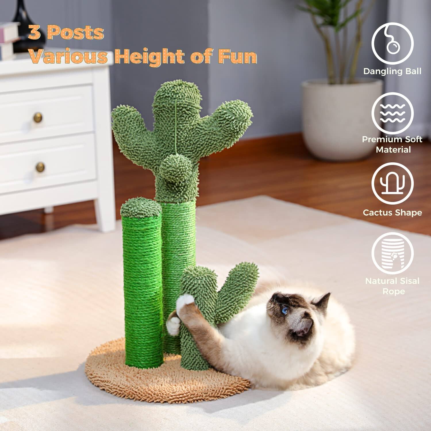 3 Posts Various Height of Fun

- Dangling Ball
- Premium Soft Material
- Cactus Shape
- Natural Sisal Rope