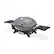 Alt View 11. Weber - Q 2800N+ liquid Propane Gas Grill - Smoke Grey.