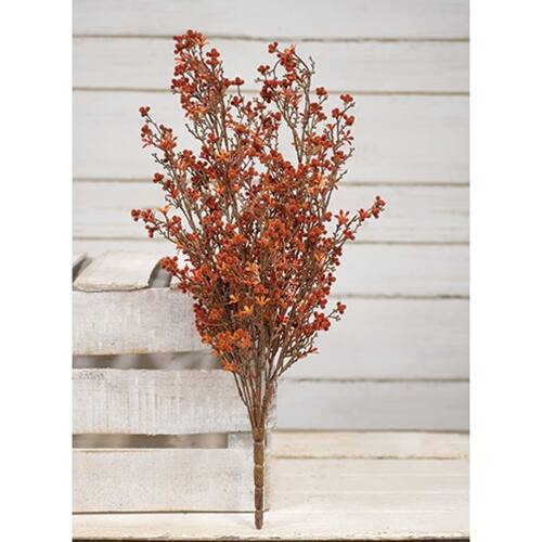 Angle. BreeBe - Rust Star Flower Bush 20" - Multi.